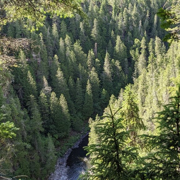 Meet your Posher, Jessie - Picture 1 of 1